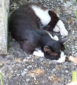 I. világháborús emlékmű