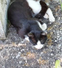 I. világháborús emlékmű