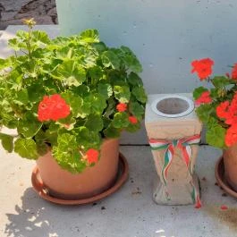 I. világháborús emlékmű, Csákberény - Egyéb