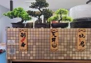 Ichiban Ramen, Sushi and Tea Budapest