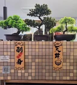 Ichiban Ramen, Sushi and Tea