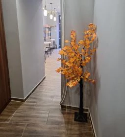 Ichiban Ramen, Sushi and Tea