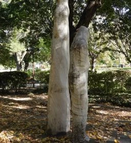 II. világháborús emlékmű