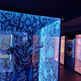 Ikono Budapest - Egyéb