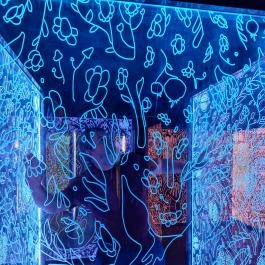 Ikono Budapest - Egyéb