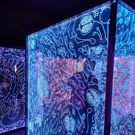 Ikono Budapest - Egyéb