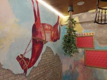 Illúziók Múzeuma Budapest