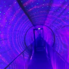 Illúziók Múzeuma Budapest - Egyéb