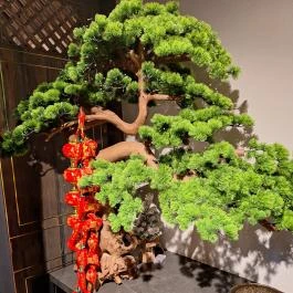 In Town Hotpot Budapest Budapest - Egyéb