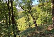 Istállóskői-barlang Szilvásvárad