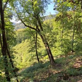 Istállóskői-barlang Szilvásvárad - Külső kép