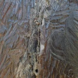 IV. Béla Bakonytamási - Egyéb