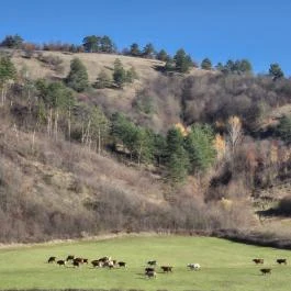 IV. Béla emlékkápolna, Járdánháza - Külső kép