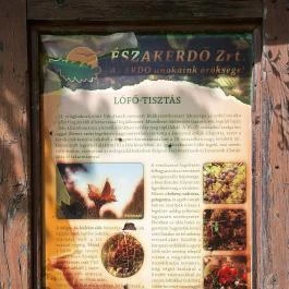 IV. Béla emlékmű, Bükkszentkereszt - Egyéb