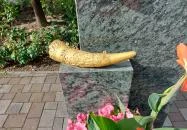 IV. Béla mellszobra Jászfényszaru