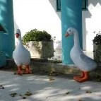 Ivóka Kertvendéglő & Pince Révfülöp - Külső kép