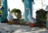 Ivóka Kertvendéglő & Pince Révfülöp