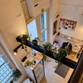 Ivy Coffee , Budapest - Belső