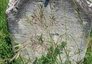 Izraelita temető Lovasberény