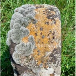 Izraelita temető, Lovasberény - Egyéb