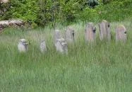 Izraelita temető Lovasberény