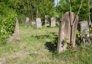 Izraelita temető & Holokauszt emlékmű Cigánd