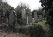 Jángori ortodox zsidó temető Makó