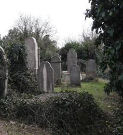 Jángori ortodox zsidó temető