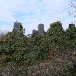 Jángori ortodox zsidó temető Makó - Külső kép