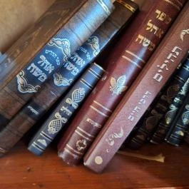 Jángori ortodox zsidó temető Makó - Egyéb