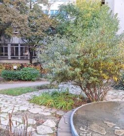 Janikovszky Éva park