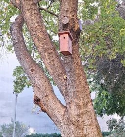 Janikovszky Éva park