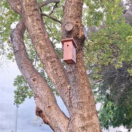 Janikovszky Éva park Budapest - Külső kép