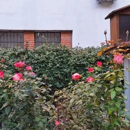 Janikovszky Éva park Budapest - Egyéb