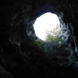 Jankovich-barlang, Bajót - Belső