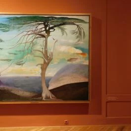 Janus Pannonius Múzeum - Csontváry Múzeum Pécs - Egyéb