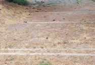 Járdányi Paulovics István Romkert Szombathely