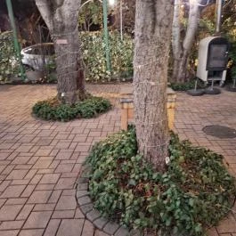 Jardinette Kertvendéglő Budapest - Egyéb