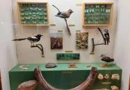 Jász Múzeum Jászberény