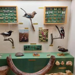 Jász Múzeum Jászberény - Belső