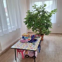 Jázmin Vendégház Nyírlövő - Belső