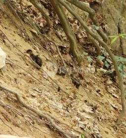 Jegenye-völgyi vízesés