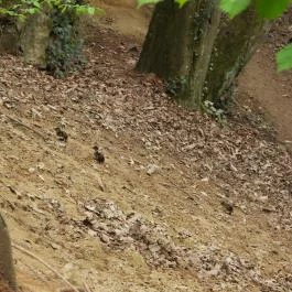 Jegenye-völgyi vízesés Solymár - Egyéb