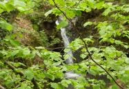 Jegenye-völgyi vízesés Solymár