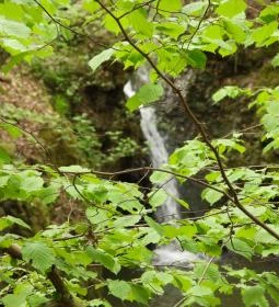 Jegenye-völgyi vízesés