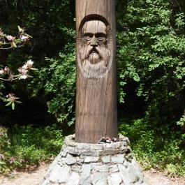 Jeli Arborétum Kám - Egyéb