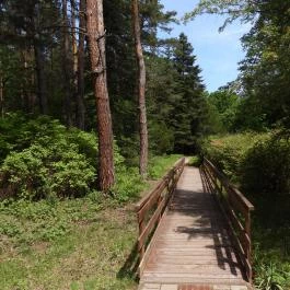 Jeli Arborétum Kám - Külső kép