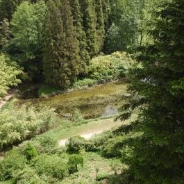 Jeli Arborétum Kám - Külső kép