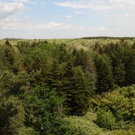 Jeli Arborétum Kám - Külső kép