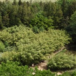 Jeli Arborétum Kám - Külső kép